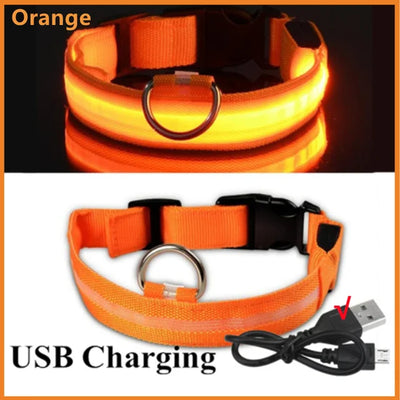 LED Glowing Dog Collar Adjustable Flashing Rechargea Luminous Collar Night Anti-Lost Dog Light Harnessfor Small Dog Pet Products