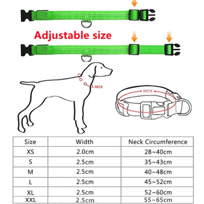 LED Glowing Dog Collar Adjustable Flashing Rechargea Luminous Collar Night Anti-Lost Dog Light Harnessfor Small Dog Pet Products